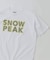 SNOW PEAK / スノーピーク 別注 マルチカラーロゴ プリントTシャツ