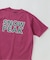 SNOW PEAK / スノーピーク 別注 マルチカラーロゴ プリントTシャツ