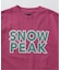 SNOW PEAK / スノーピーク 別注 マルチカラーロゴ プリントTシャツ