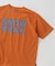 SNOW PEAK / スノーピーク 別注 マルチカラーロゴ プリントTシャツ