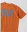 SNOW PEAK / スノーピーク 別注 マルチカラーロゴ プリントTシャツ