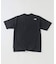THE NORTH FACE / ノースフェイス レイバッククライムティー