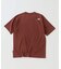 THE NORTH FACE / ノースフェイス レイバッククライムティー
