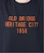 OLD BRIDGE フロッキーT