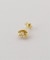 【Artisav/アルティサヴ】 silver GP star small earring：ピアス