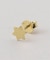 【Artisav/アルティサヴ】 silver GP star small earring：ピアス