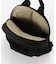 【THE NORTH FACE/ ザノースフェイス】 Ficus Pack