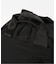 【THE NORTH FACE/ ザノースフェイス】 Ficus Pack