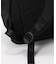 【THE NORTH FACE/ ザノースフェイス】 Ficus Pack