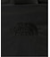 【THE NORTH FACE/ ザノースフェイス】 Ficus Pack