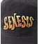 BLUESCENTRIC Genesis Nursery Cryme Logo