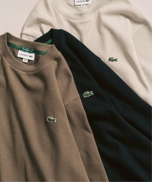 LACOSTE / ラコステ】 別注 ワッフルL/S カットソー｜フォーワンセブン