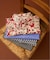 CHEMISE TRADITION POIS