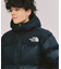 THE NORTH FACE / ザ ノースフェイス Nuptse Hoodie