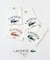 【LACOSTE / ラコステ】 417別注 Print Tシャツ