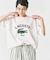 【LACOSTE / ラコステ】 417別注 Print Tシャツ
