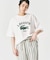 【LACOSTE / ラコステ】 417別注 Print Tシャツ