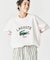 【LACOSTE / ラコステ】 417別注 Print Tシャツ