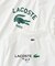 【LACOSTE / ラコステ】 417別注 Print Tシャツ