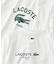 【LACOSTE / ラコステ】 417別注 Print Tシャツ