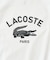 【LACOSTE / ラコステ】 417別注 Print Tシャツ