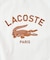 【LACOSTE / ラコステ】 417別注 Print Tシャツ