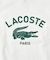 【LACOSTE / ラコステ】 417別注 Print Tシャツ