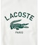 【LACOSTE / ラコステ】 417別注 Print Tシャツ