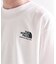 THE NORTH FACE / ザ ノースフェイス S/S Historical Logo Tee