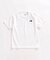 THE NORTH FACE / ザ ノースフェイス S/S Historical Logo Tee