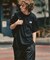 THE NORTH FACE / ザ ノースフェイス S/S Historical Logo Tee