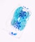 PLASTICANA MEDUSE / メデュース SUN CHANVRE