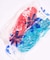 PLASTICANA MEDUSE / メデュース SUN CHANVRE