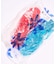 PLASTICANA MEDUSE / メデュース SUN CHANVRE