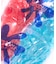 PLASTICANA MEDUSE / メデュース SUN CHANVRE