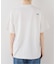 THE NORTH FACE/ザ ノース フェイス GAR Smaller Typographic S/S Tee NT32667
