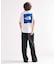 THE NORTH FACE / ザ ノースフェイス S/S Warp Noise Tee