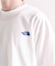 THE NORTH FACE / ザ ノースフェイス S/S Warp Noise Tee