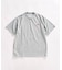 THE NORTH FACE / ザ ノースフェイス S/S Warp Noise Tee