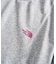 THE NORTH FACE / ザ ノースフェイス S/S Warp Noise Tee