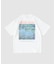 NOT OEM Water Lilies TEE