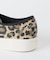 VANS/ヴァンズ LEOPARD Black/Incense