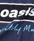 THRIFTY LOOK スリフティルック OASIS Tシャツ