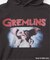 SCREEN STARS ”GREMLiNS” PIGMENT HOODIE