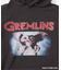 SCREEN STARS ”GREMLiNS” PIGMENT HOODIE