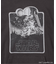 SCREEN STARS ”STAR WARS” PIGMENT HOODIE