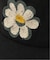 HI-YOKE+MacMahon Knit BB CAP-FLOWER