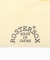ROSTER SOX / ロスターソックス LEMON