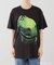 VARIEGATOR / ヴァリゲイター Rex/Tee
