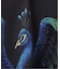 F-LAGSTUF-F / フラグスタフ ”PEACOCK” TEE